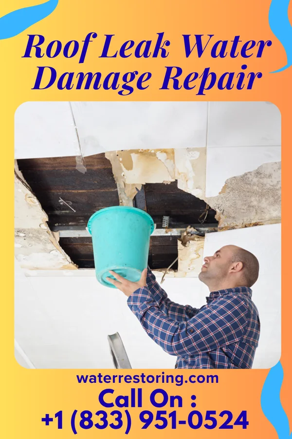 Roof Leak Water Damage Repair in Gardner, IL